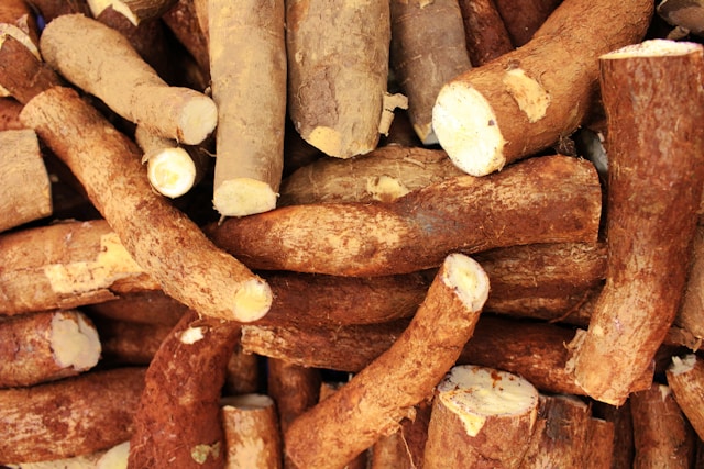 kořen lékořice